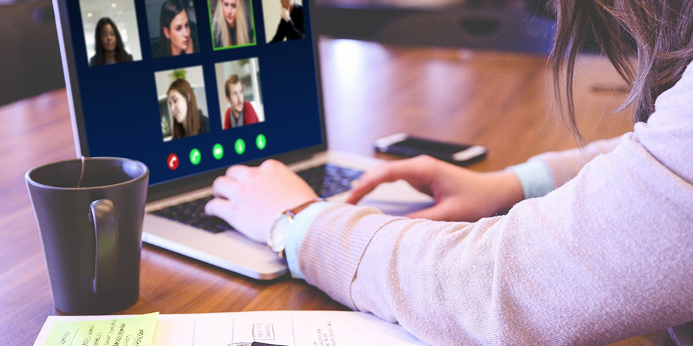 Online conference call on skype, without Meet Cam widgets.