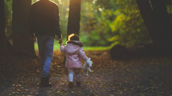 forest preservation NAR's efforts