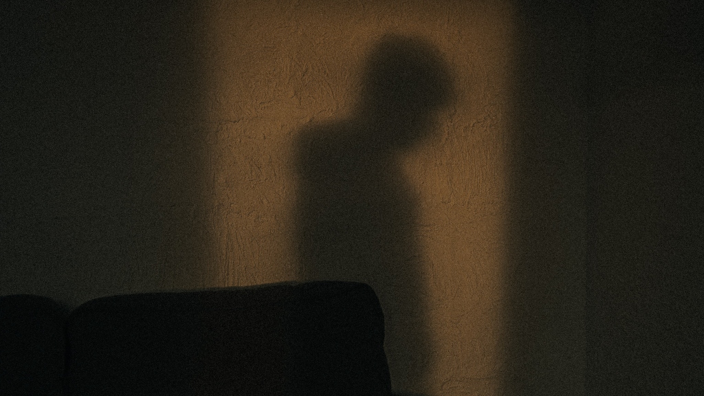 Shadow on wall representing lack of realtor safety in open houses.