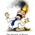 the_stupid_it_burns