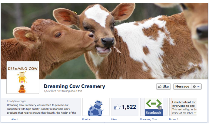 facebook pages timeline cover photos