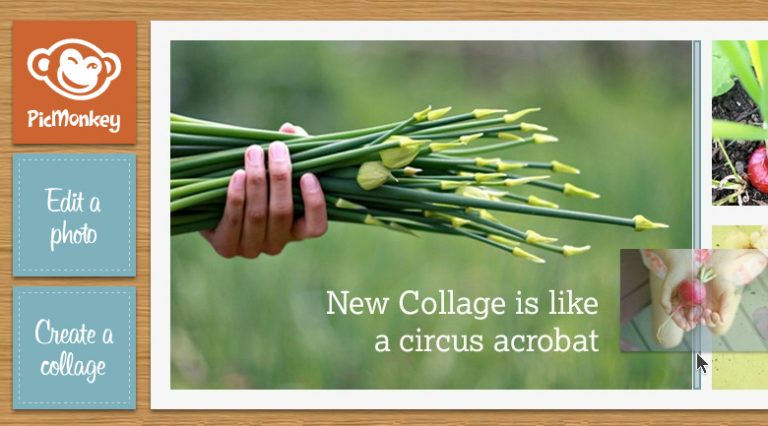 PicMonkey’s drag and drop collage feature: drop dead simple