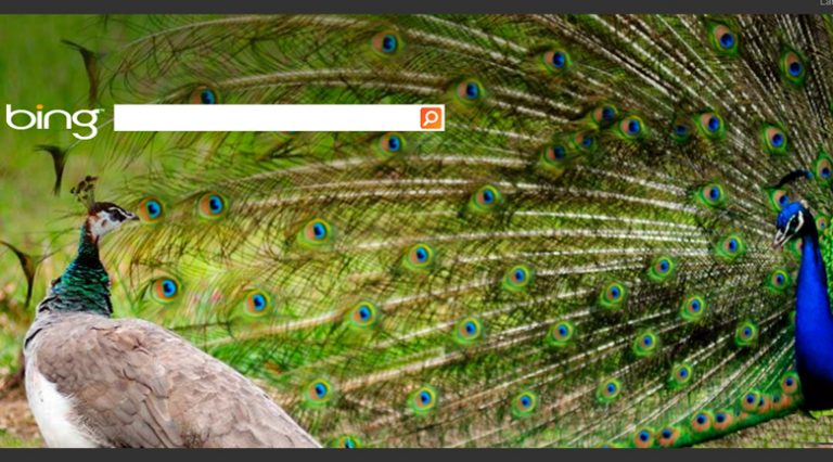 Bing makes search social, ups their game