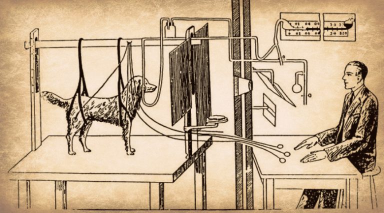 Pavlov’s dog experiment and the modern professional