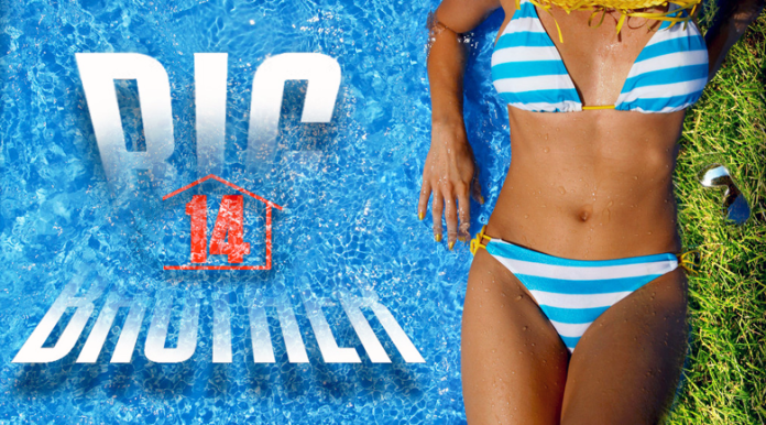Big Brother 14