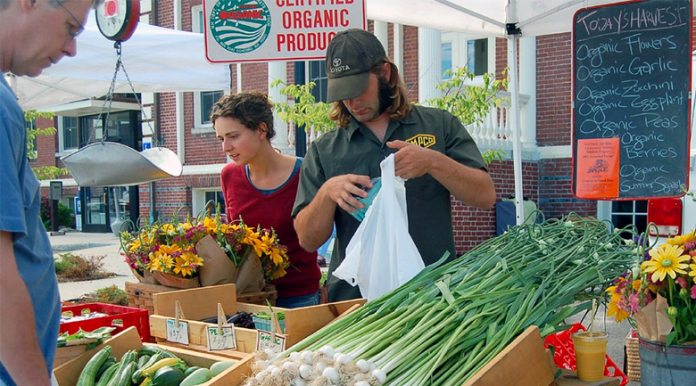 organic-produce organic produce green living