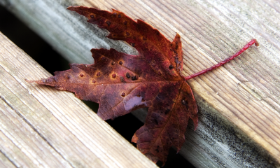 falling through cracks