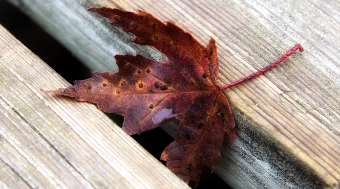 falling through cracks