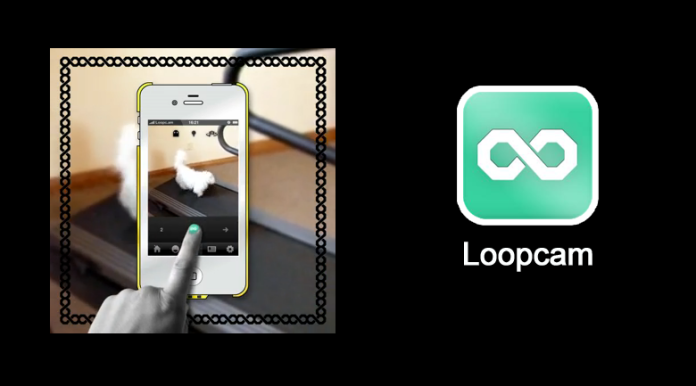 loopcam loopcam animated gifs