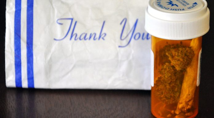 cannabusiness medical-marijuana cannabusiness medical marijuana small business