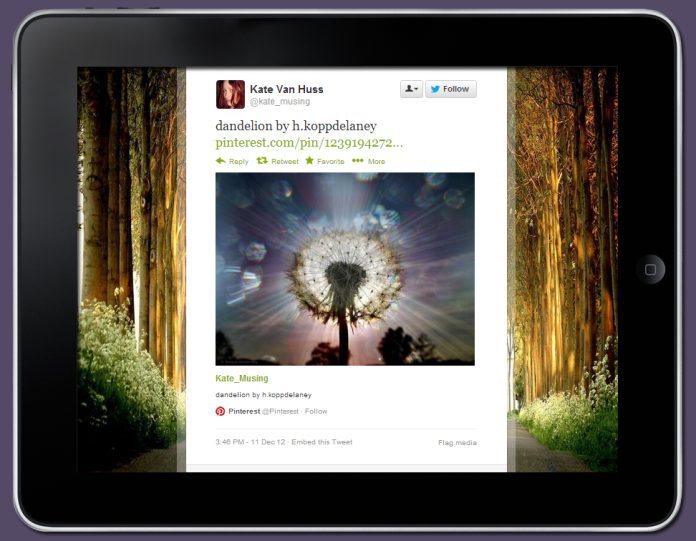 pinterest-twitter pinterest twitter