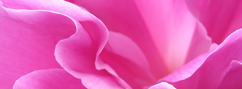 facebook cover photo