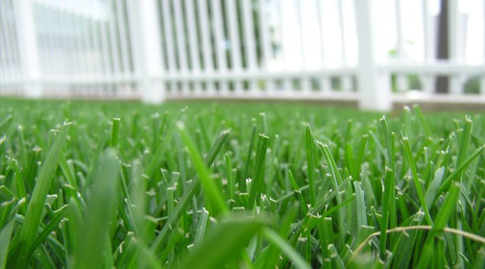 can money buy happiness