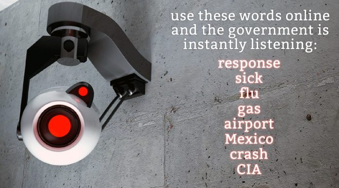 government monitoring