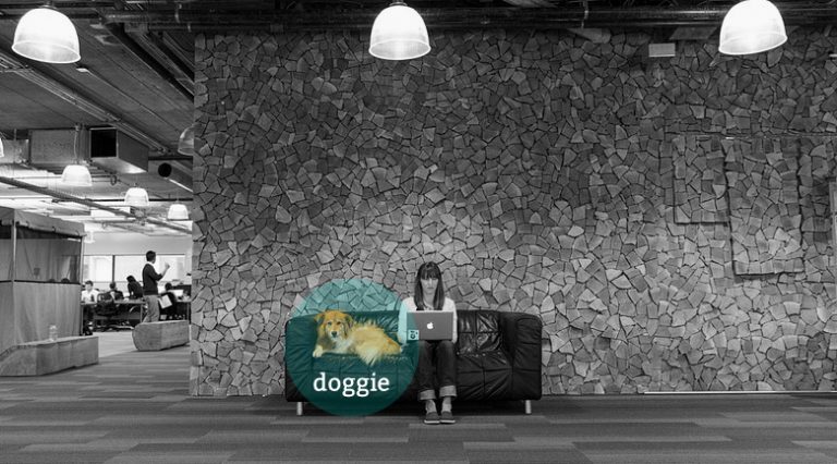 Office pet policies: the good, bad, and ugly