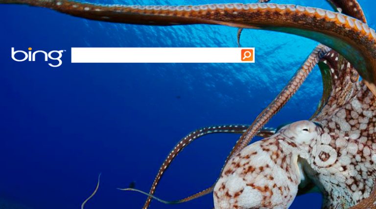 Bing introduces ad-free search for schools