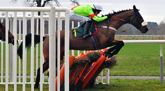 blooper-hores blooper