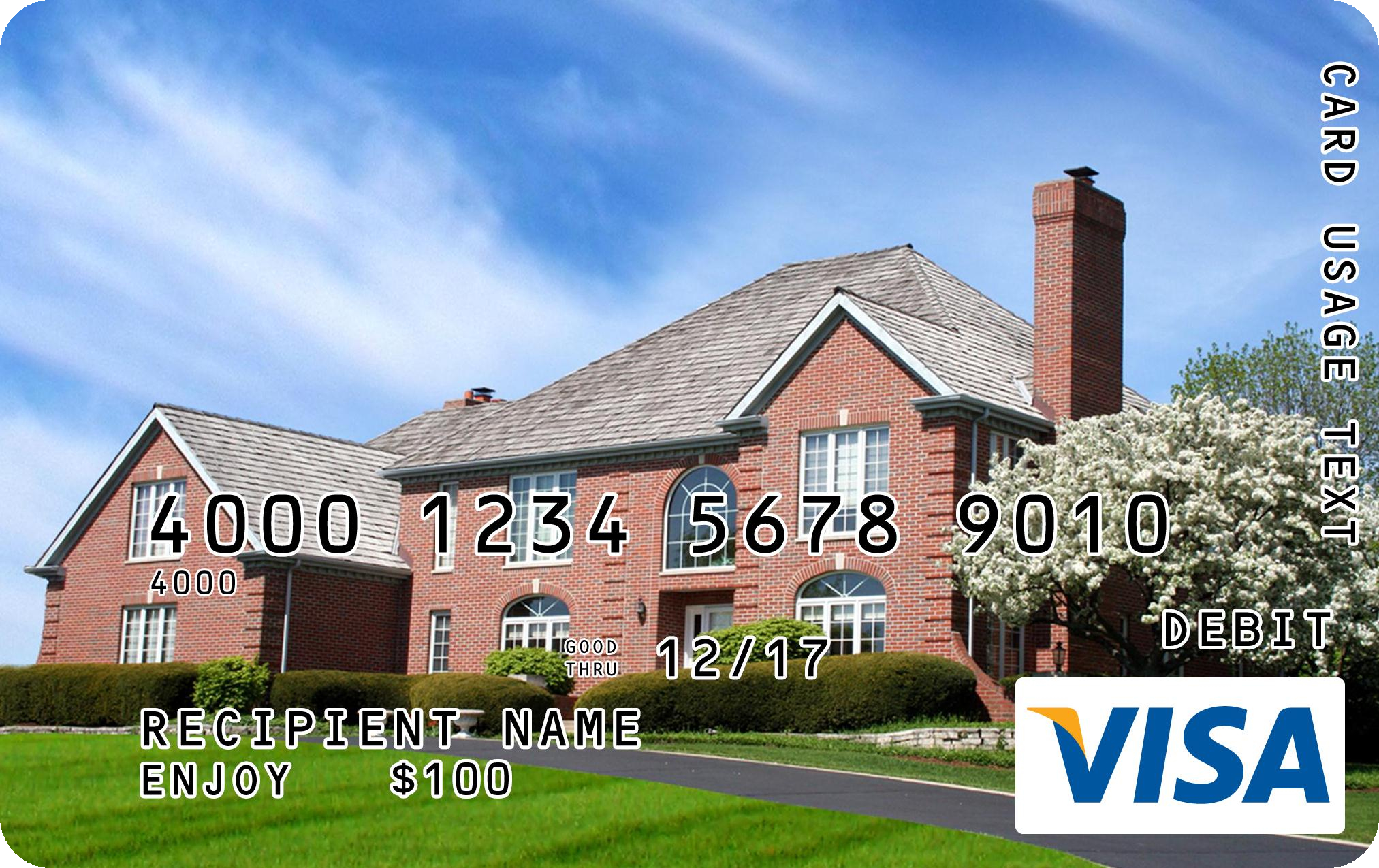 visa card
