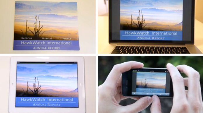 lucidpress lucidpress