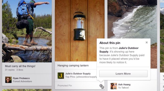 promoted pin pinterest