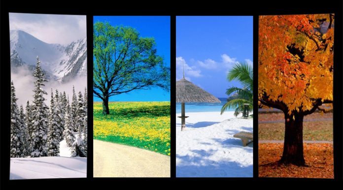 seasons seasonal business