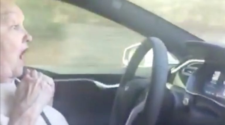 Nana tests out Tesla’s autopilot feature, loses her GD mind