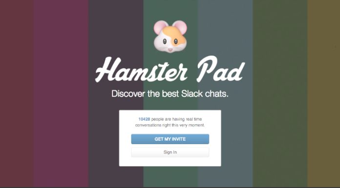 hamster-pad hamster pad