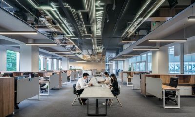 office life and ideal worker