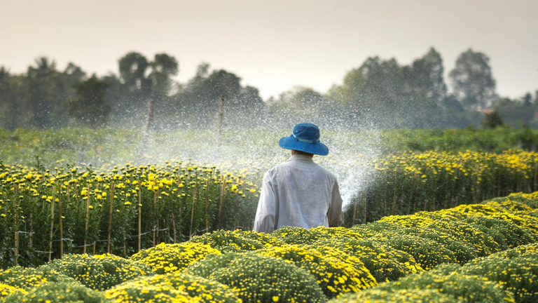 Female farm workers receive $2 million in sexual harassment settlement