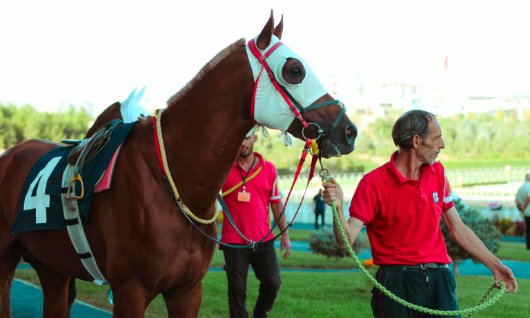 Equine trainer company to pay $243k for FLSA overtime violations